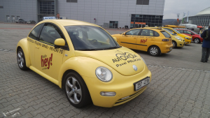 sraz-new-beetle-2013-v-habrovanech-1
